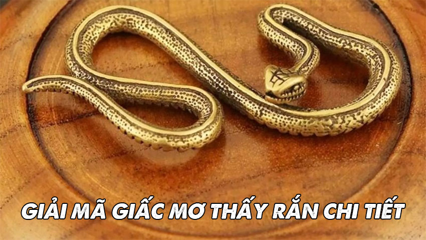 Mơ thấy rắn đánh con gì? Giải mã giấc mơ thấy rắn chuẩn nhất 3 Giải mã giấc mơ thấy rắn chi tiết